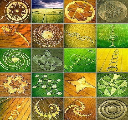 cropcircles cropcircles