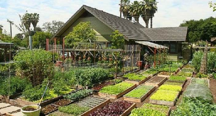 famiglia-autoproduce-frutta-e-verdura