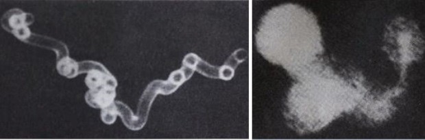 Fotos publicadas no Jornal Valeparaibano em 1986 (Foto: Arquivo pessoal/Adenir Britto)