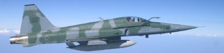 Modelo F-5 usado na perseguição.