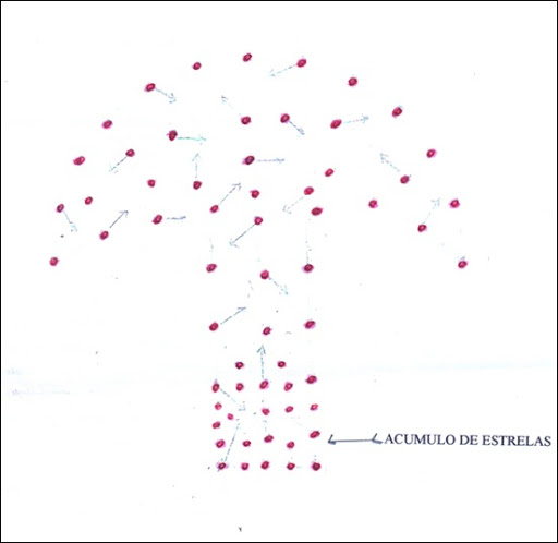 ( / ILUSTRAÇÃO WERNER SCHÜTZ)