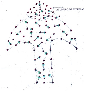 ( / ILUSTRAÇÃO WERNER SCHÜTZ)